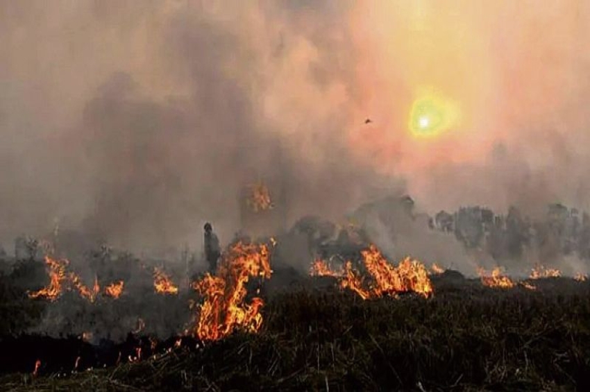 Explainer: ਪੰਜਾਬ ਵਿੱਚ ਪਰਾਲੀ ਸਾੜਨ ਦੇ ਮਾਮਲੇ ਘੱਟ, ਆਉਣ ਵਾਲੇ ਦਿਨਾਂ &rsquo;ਚ ਇਸ ਨੂੰ ਬਰਕਰਾਰ ਰੱਖਣਾ ਚੁਣੌਤੀ